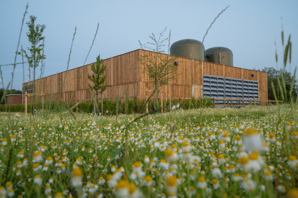 Chilton Wood Community Heat Hub from across a wildflower meadow, as part of GTC's low carbon heat infrastructure.